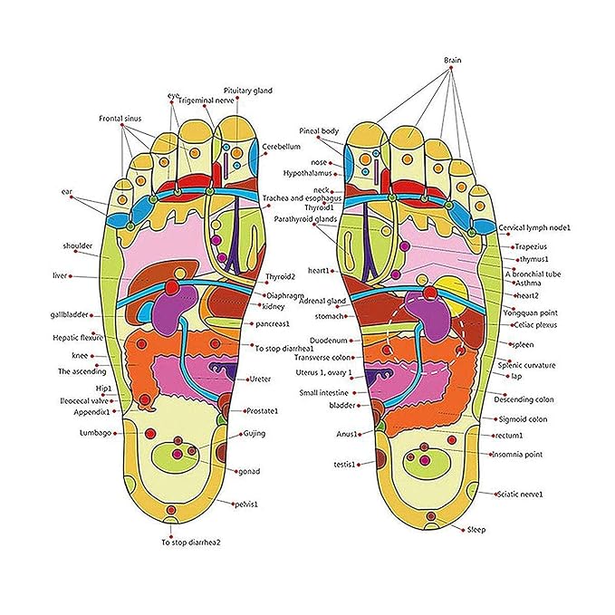 Paduka Slippers