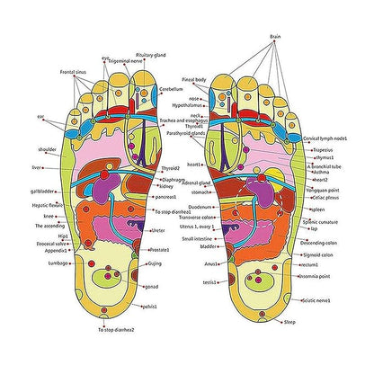 Paduka Slippers